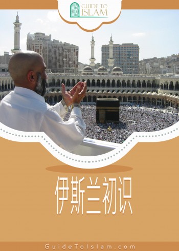 伊斯兰初识