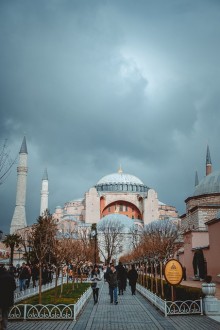 كورونا - الداء والدواء