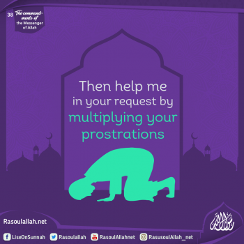 Then help me in your request by multiplying your prostrations