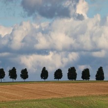 伊斯兰信仰分类简介系列 4 - 5