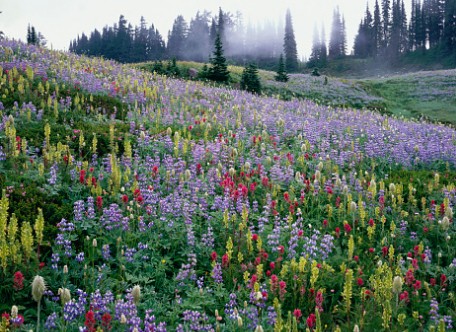 Chapitre 23, Al-Mou’minoun (Les croyants)