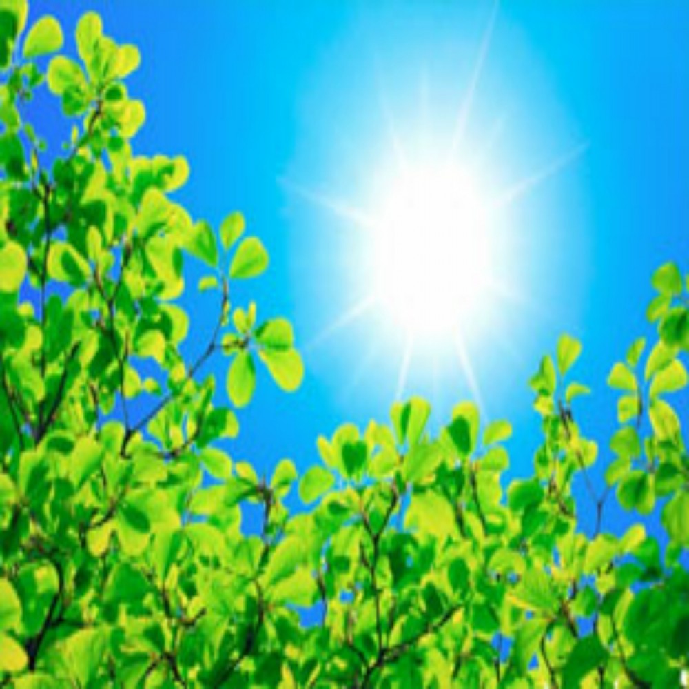 圣经否认耶稣的神性（7/7）:主和耶稣是两个单独的存在