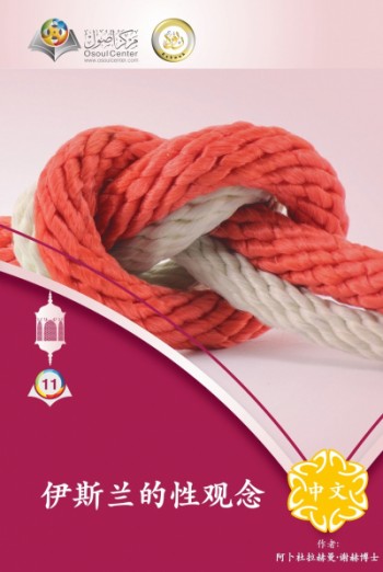 Islamic Perspective on Sex