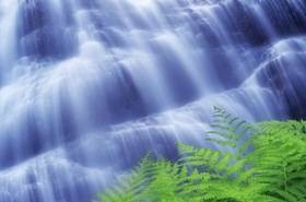 Может ли Коран быть творением Мухаммада?