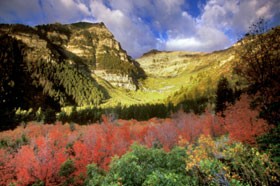 L’élévation du statut de la femme (partie 2 de 5) : Entre deux extrêmes