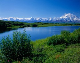 La protection environnementale en islam (partie 4 de 7) : L’air, les terres et le sol