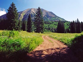La protection environnementale en islam (partie 7 de 7) : Protéger l’homme et l’environnement