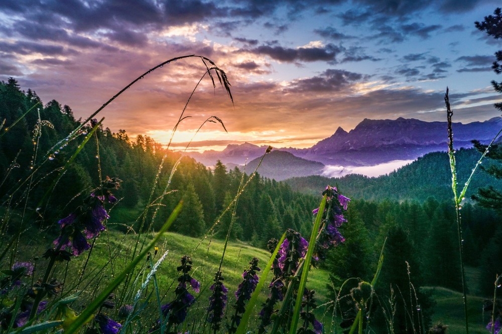 La Humildad Y La Soberbia