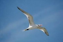 Pardon vs représailles (partie 1 de 2): Pardonner ou non