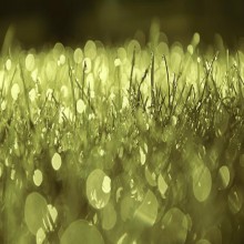 Чем ислам отличается от остальных религий? (часть 2 из 2)