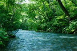 Права человека в Исламе (часть 3 из 3): рабство и пытки