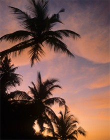 Estudiosos Cristãos Reconhecem Contradições na Bíblia (parte 3 de 5): Supostos Autores do Novo Testamento