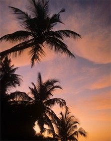 Islamikong Konsepto ng Espirituwalidad