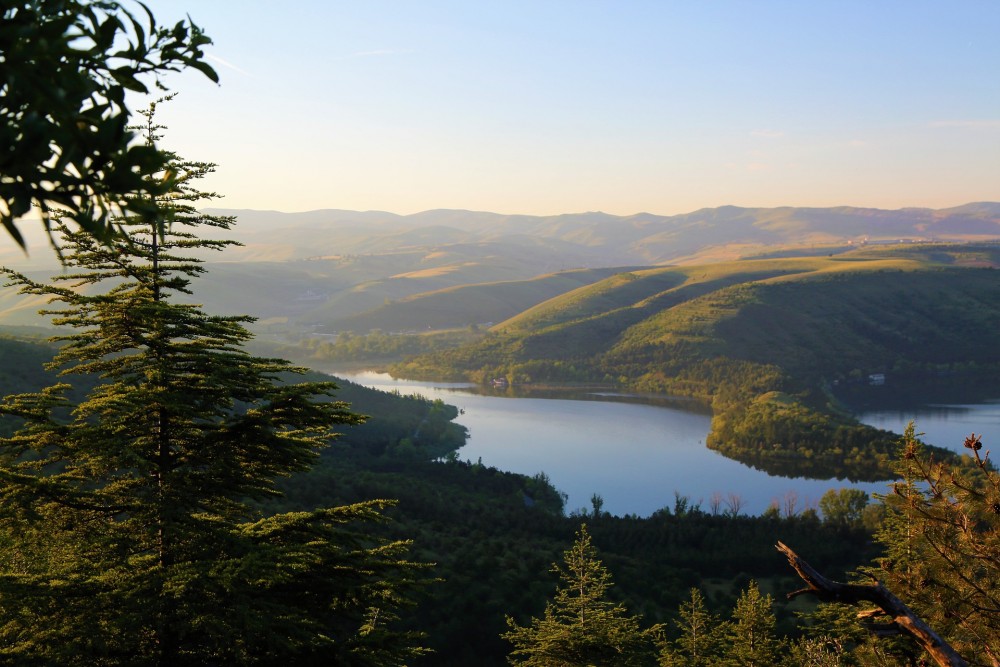 Le droit exclusif de Dieu à l’adoration