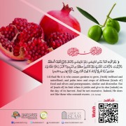 "And He it is who causes gardens to grow, [both] trellised and untrellised"