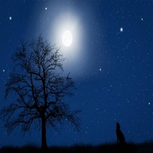 Os Milagres de Jesus