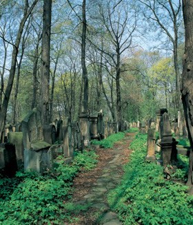 НОВЫЙ ЗАВЕТ