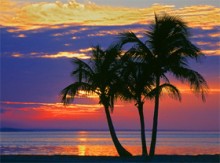 Les scientifiques et la religion (partie 2 de 2) : Les scientifiques religieux