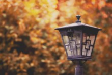 Why Is Homosexuality Condemned In Islam