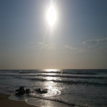 伊斯兰司法制度（2/2）：法律依据及其规定