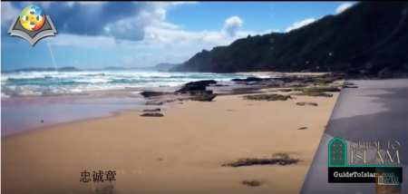 古兰经》忠诚章