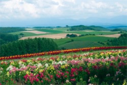 Ang Pinaka-mainam na Pagkatao ng isang Muslim