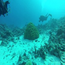 The Quran on Deep Seas and Internal Waves