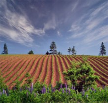 История Адама Часть 3. Сошествие на землю