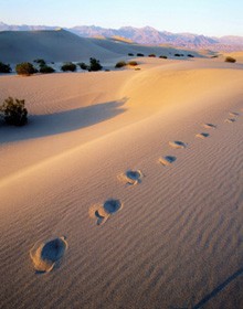 A História de Moisés (parte 8 de 12): Sinais do Poder Magnificente de Deus