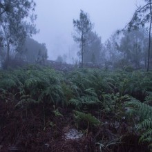 末日的迹象（7/7）：最后的大迹象