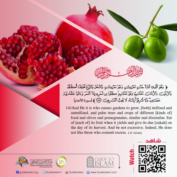 "And He it is who causes gardens to grow, [both] trellised and untrellised"